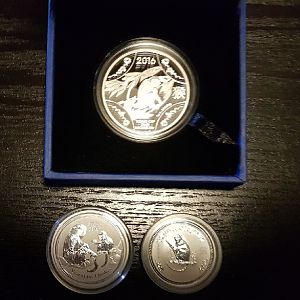 SilverSerf Silver Coins