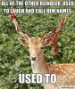 JOTDBambi.jpg
