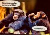 IMG-20180227-WA0013.jpg
