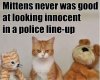 Bad Kitten.jpg