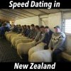 speed dating nz.jpeg