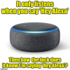 alexa2.png