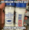 280 MILLION Y-OLD SALT.jpg