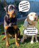 FB_IMG_1596933723303.jpg