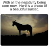 sunset.png
