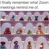 zoom.jpg