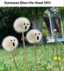 FB_IMG_1599240263131.jpg