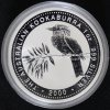 2000 Kook 1oz BU 1.jpg