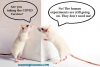 vaccine-COVID-Mice-Cartoon-1.png