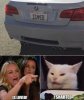 Cat.jpg