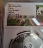 2019 Early release PANDA NGC MS69    1.jpg