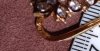P_20170322_110601_SRES.jpg