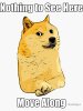 Doge.jpg