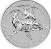 Humpback-plat.jpg
