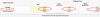 Screenshot 2025-04-05 at 7.48.53 am.png