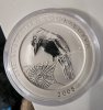 2008 kilo kook.jpg