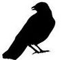 The Crow