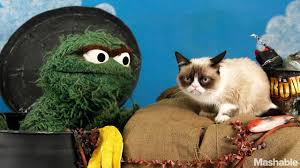 Oscar the grouch