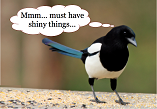 magpie1972