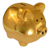 GoldPig