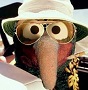 Gonzo