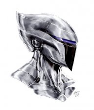 silver hawk