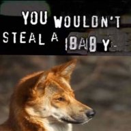 hitokage