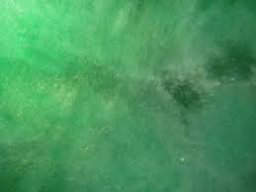 Jade