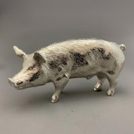 SilverPigDave