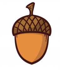 Acorn