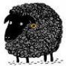 BlackSheep