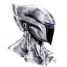 silver hawk