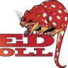 Red Quoll