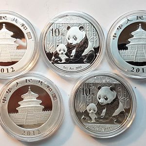Silver-Pandas-2012 (1 Of 1)