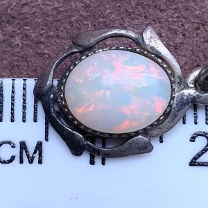 P_20170209_123632_vHDR_Auto