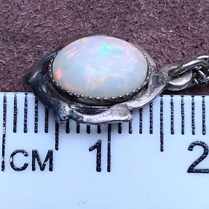 P_20170209_123652_vHDR_Auto