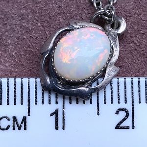 P_20170209_123739_vHDR_Auto