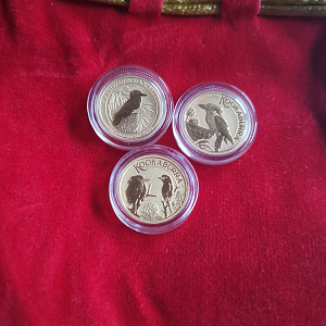 IMG_20241028_175827s