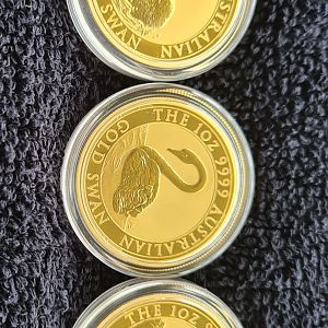 Screenshot_20241205_122940_Gallery