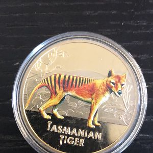 BE971B56-73C1-4AE2-92C9-D59A324FE3AC