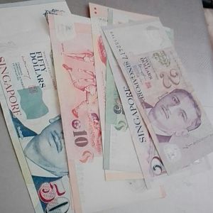 78765864_442158706482813_7885675013334892544_n