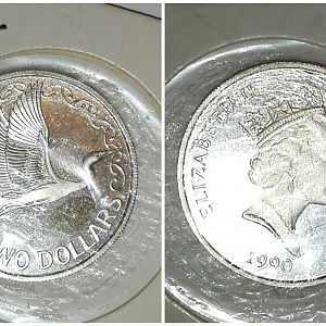 81625917_454102575494551_7522216236294340608_n