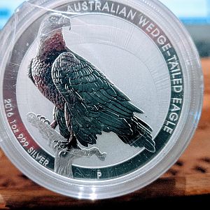 PicShop-25FA42505A81960DF30A4BE60B2AC3FD