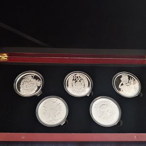 SGB Series of Dissent Cased #2