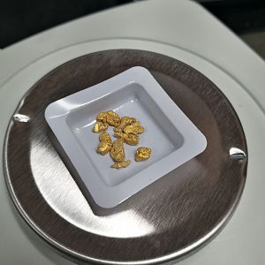 IMG_20200731_143310_resize_88