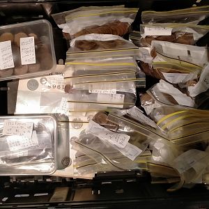 121381131_349687862913495_5908387205039642347_n