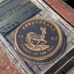 PXL_20201013_051519367