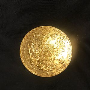 D85B025A-5308-41DC-8ECF-4DC2F08F1A16