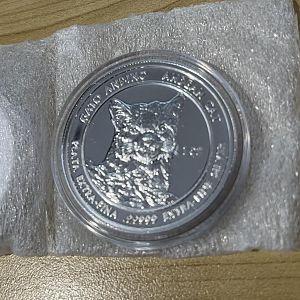 Cat-silver-front-big
