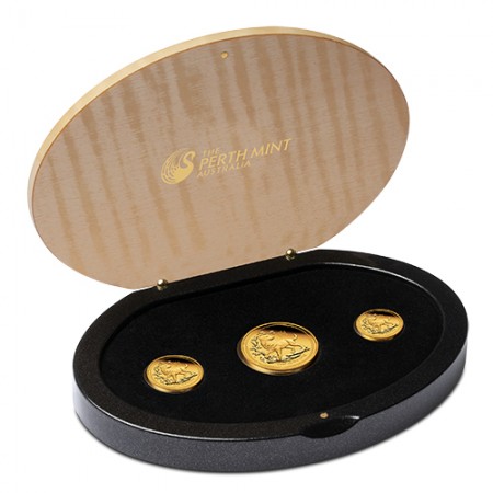 08-2018-yearofthedog-gold-3coinset-proof-incase-highres